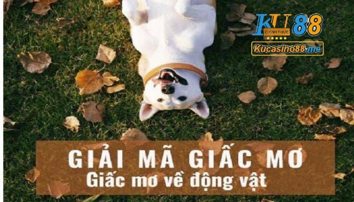 Giải mã giấc mơ Kubet